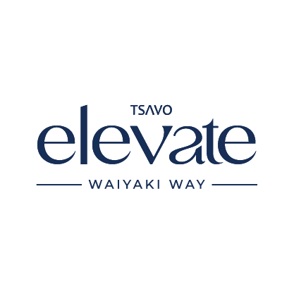 TSAVO Elevate Logo